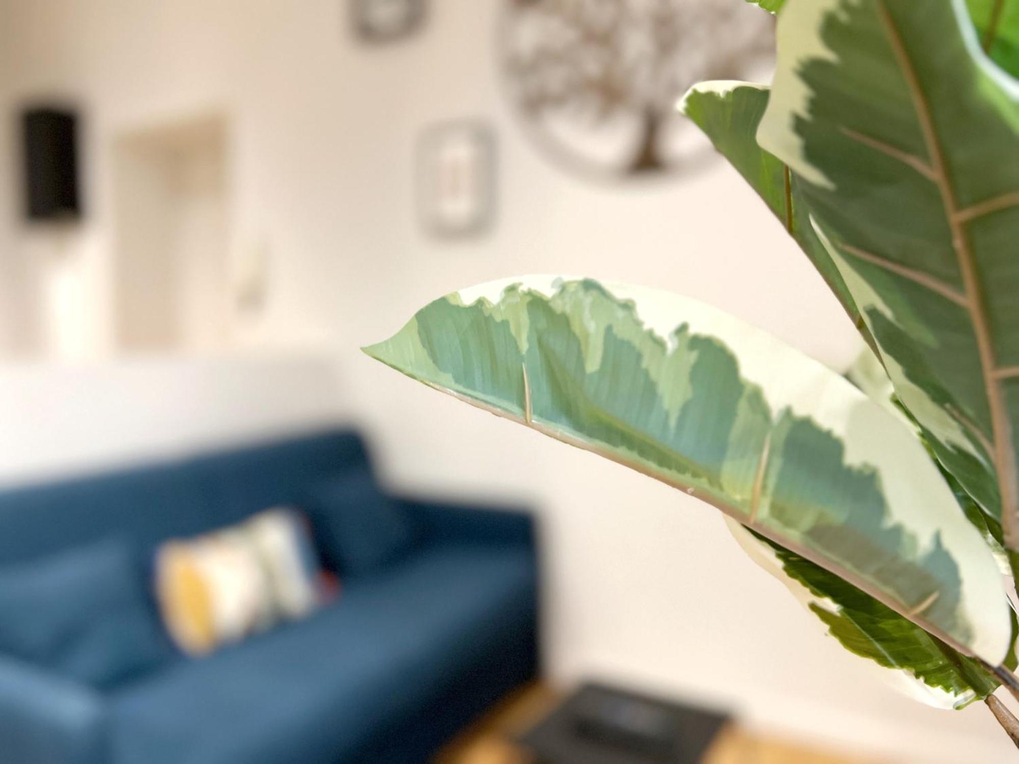 Beauconcept Apartment Nantes